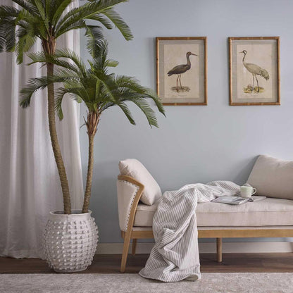 Cycus Palm Tree 220cm