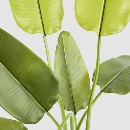 Bird of Paradise Real Touch 120cm