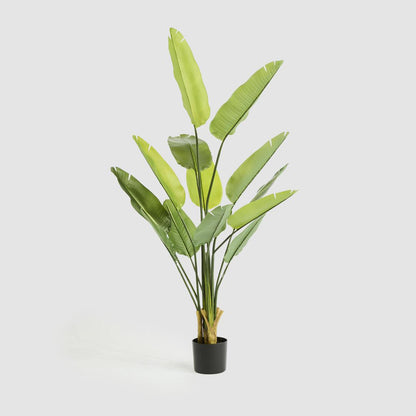 Bird of Paradise Real Touch 160cm
