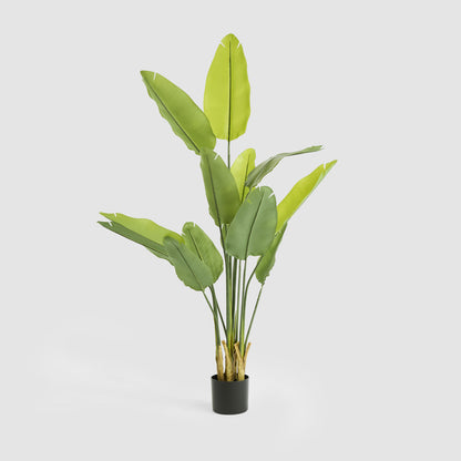 Bird of Paradise Real Touch 160cm