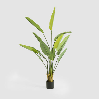 Bird of Paradise Real Touch 160cm