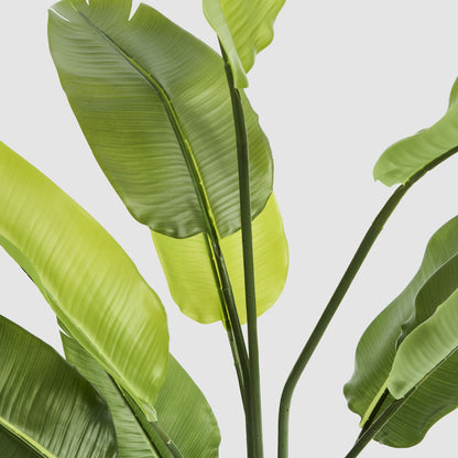 Bird of Paradise Real Touch 160cm
