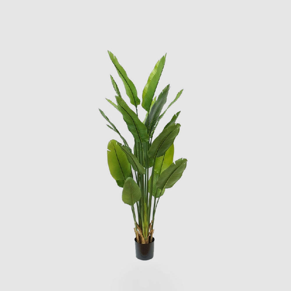 Bird of Paradise Real Touch 180cm