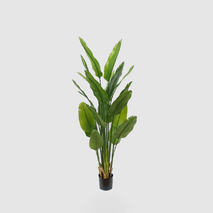 Bird of Paradise Real Touch 180cm