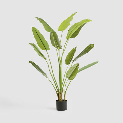 Bird of Paradise Real Touch 210cm