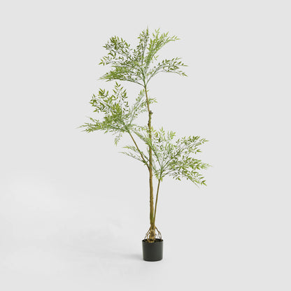 Green Nandina Tree 170cm