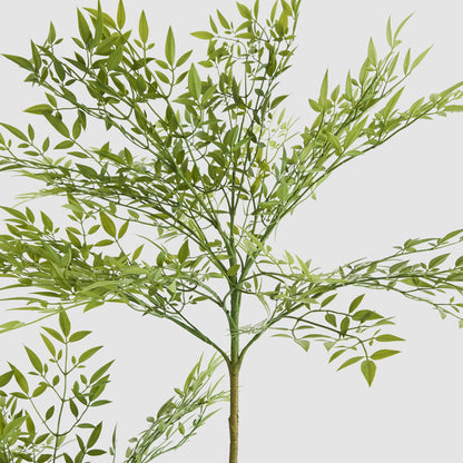 Green Nandina Tree 170cm