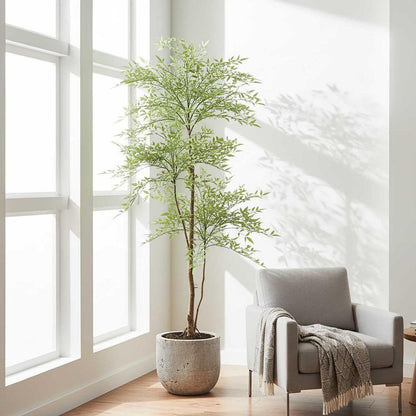 Green Nandina Tree 170cm