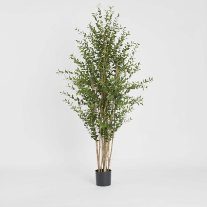 Eucalyptus Mini Leaf Tree 180cm Green
