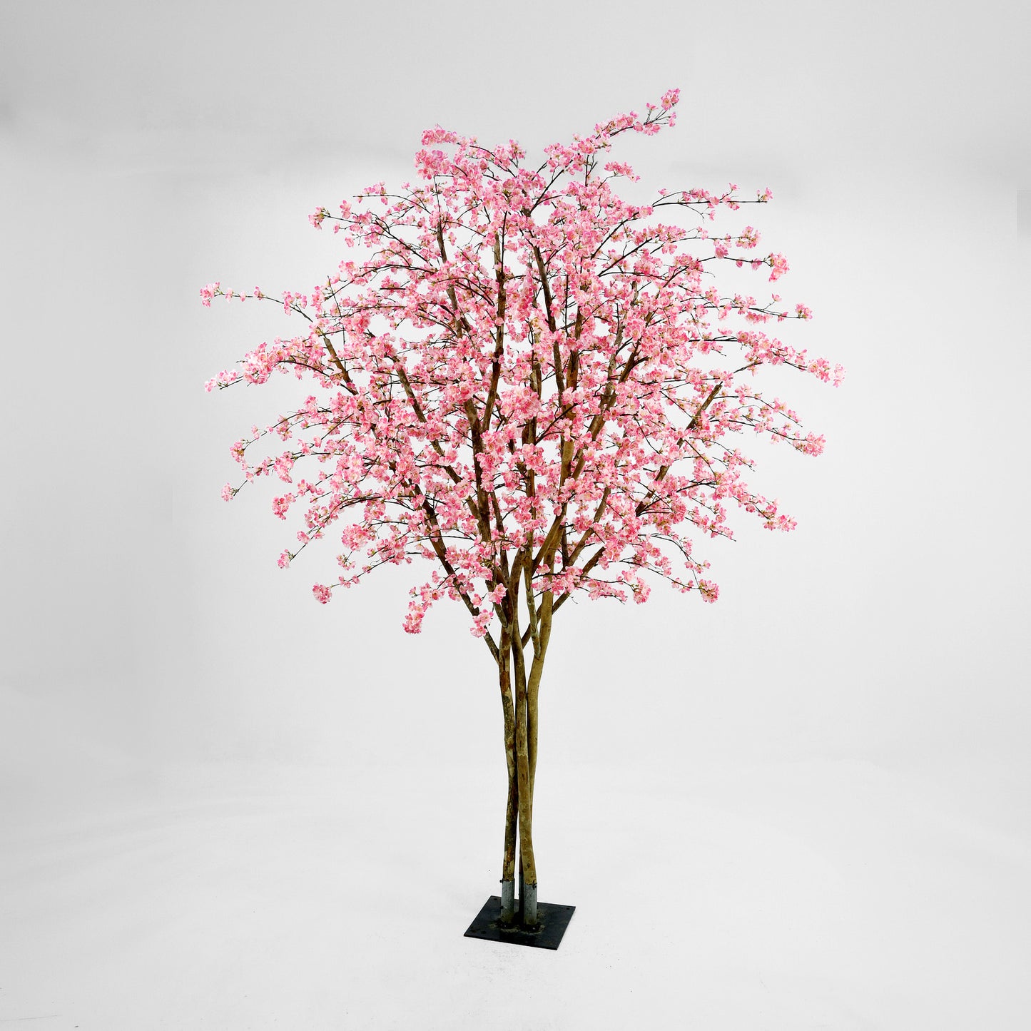 Cherry Tree 400cm MTO