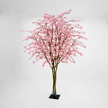 Cherry Tree 400cm MTO