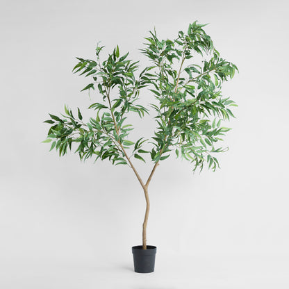 Long Leaf Eucalyptus Potted Tree 240cm