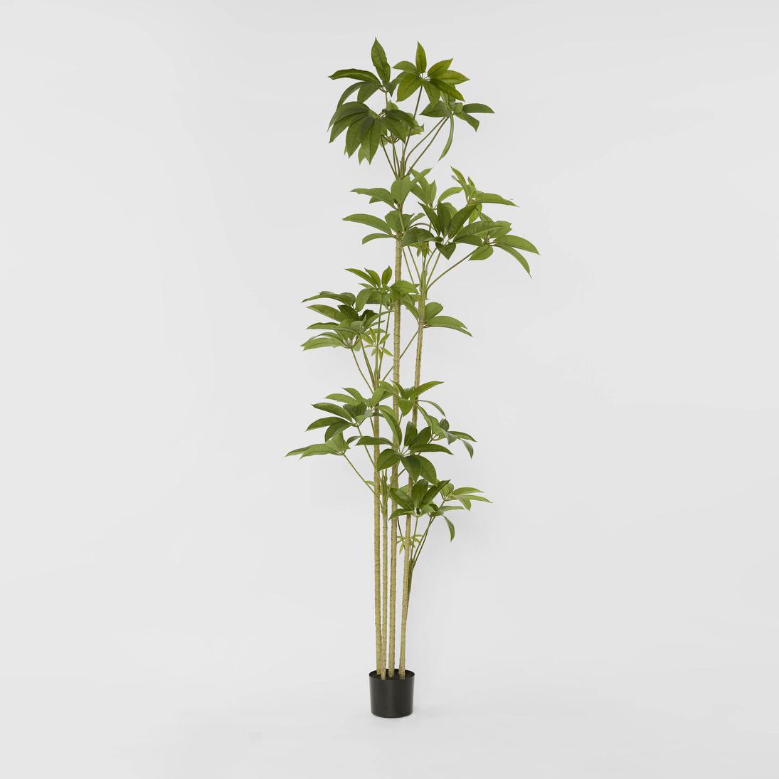 Real Touch Frangipani Tree 210cm