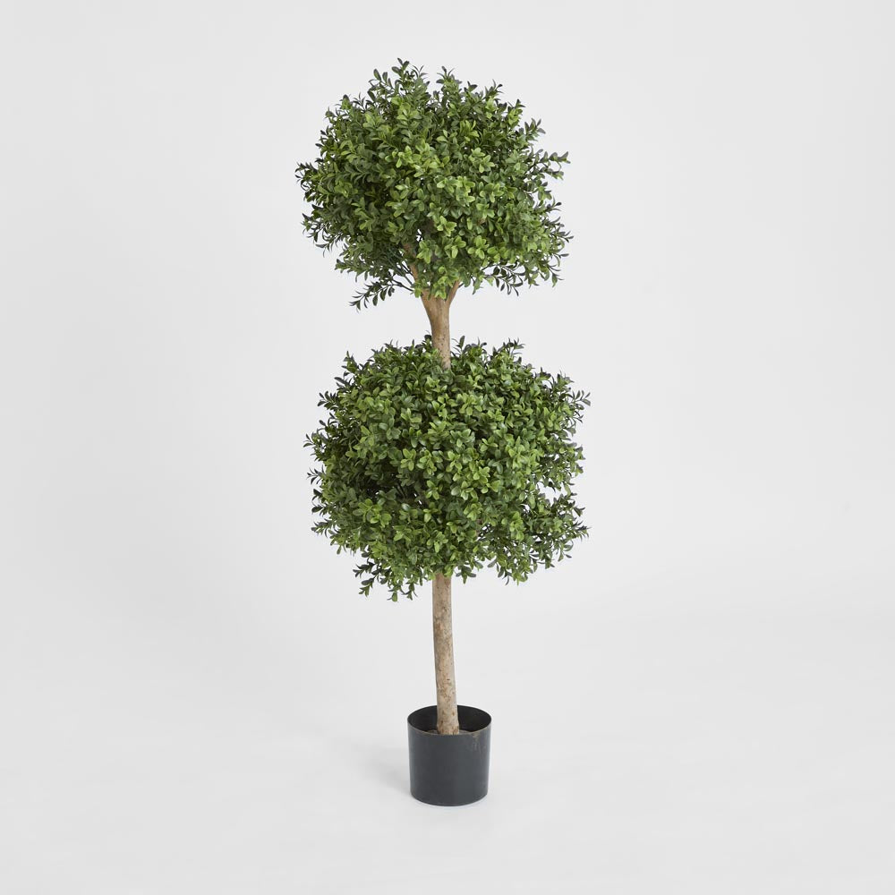 Multiball Tree Boxwood Double Ball Tree 1.1m | Tree Creations – Florabelle Living