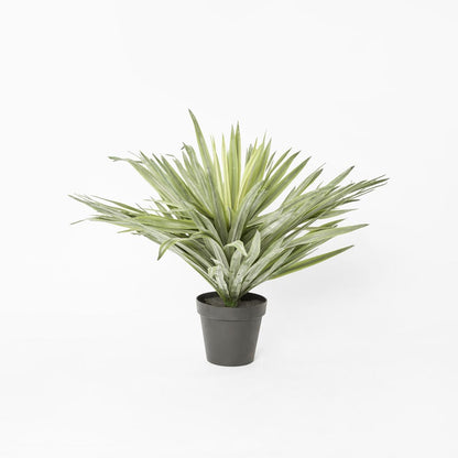 Soft Touch Potted Sisal Plant 68cm