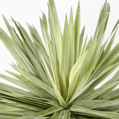 Soft Touch Potted Sisal Plant 68cm