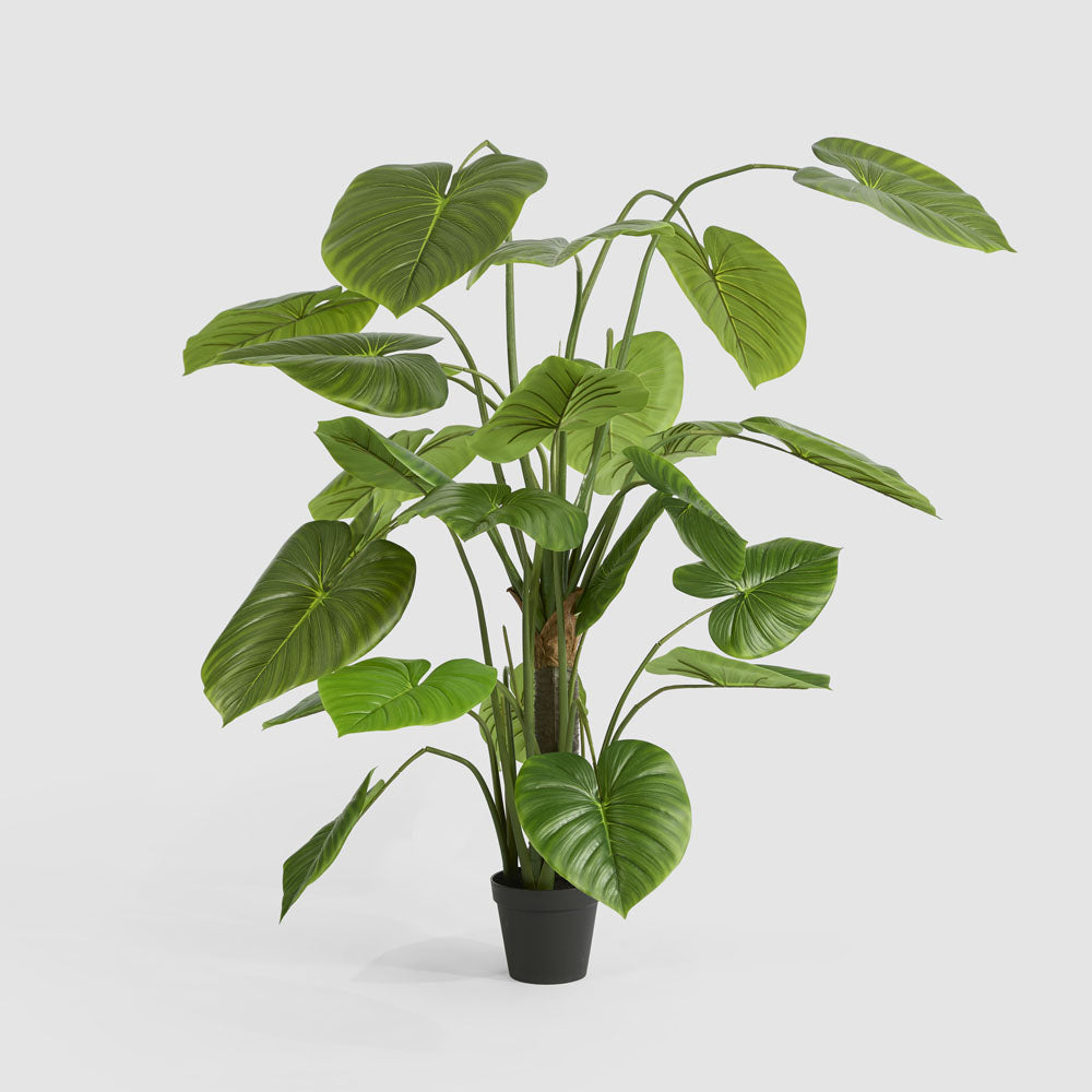 Real Touch Taro Tree 210cm