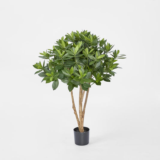 Sweet Link Tree 90cm