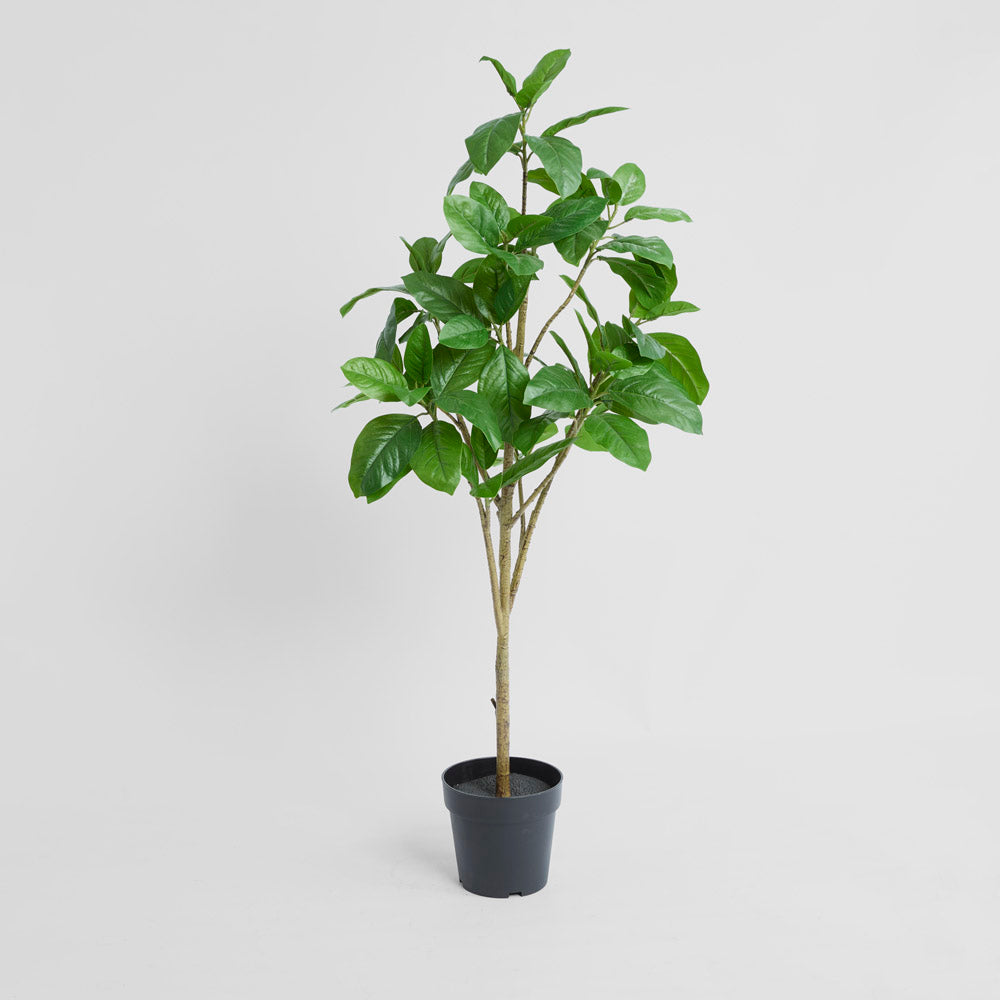 Magnolia Potted Tree 124cm