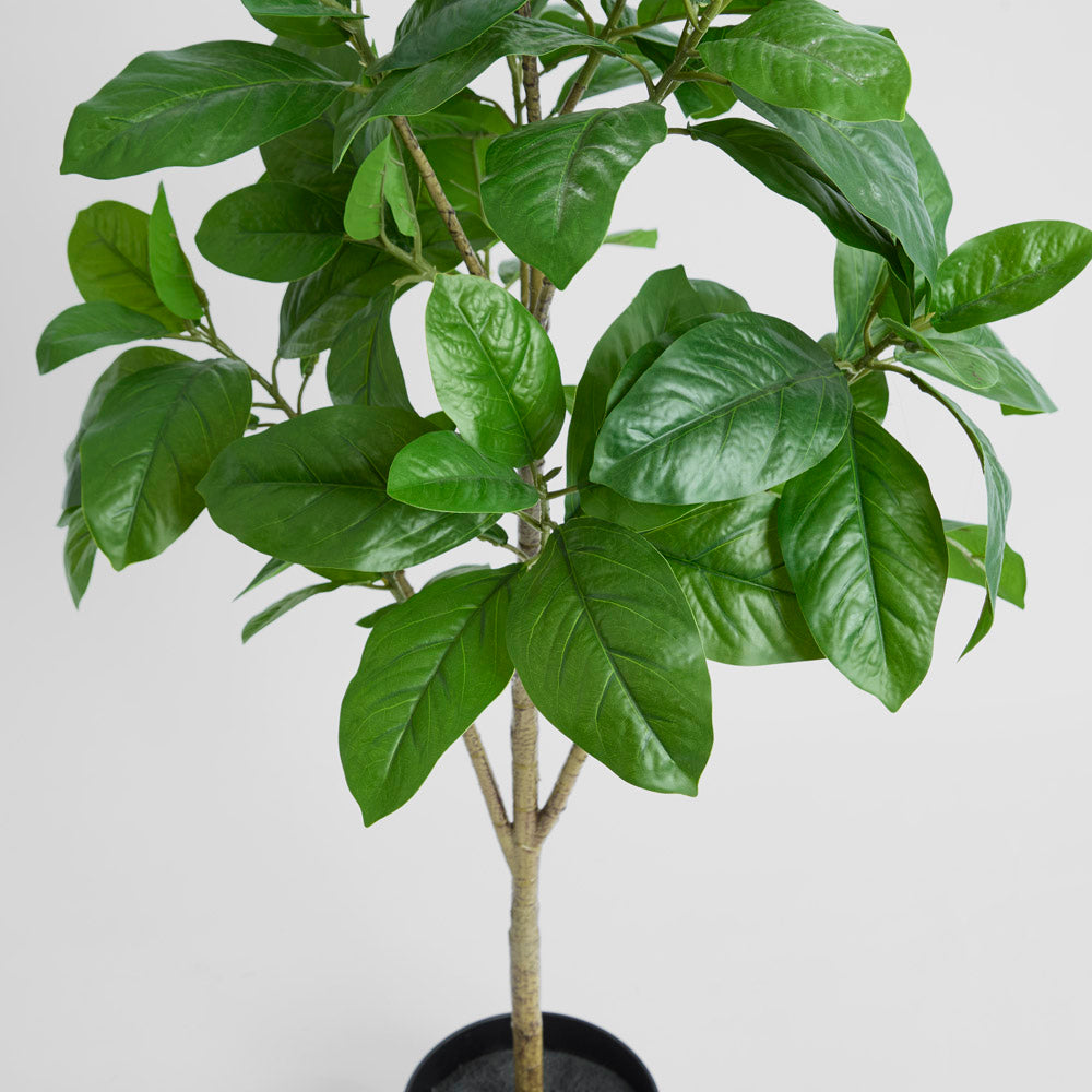 Magnolia Potted Tree 124cm