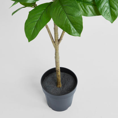 Magnolia Potted Tree 124cm