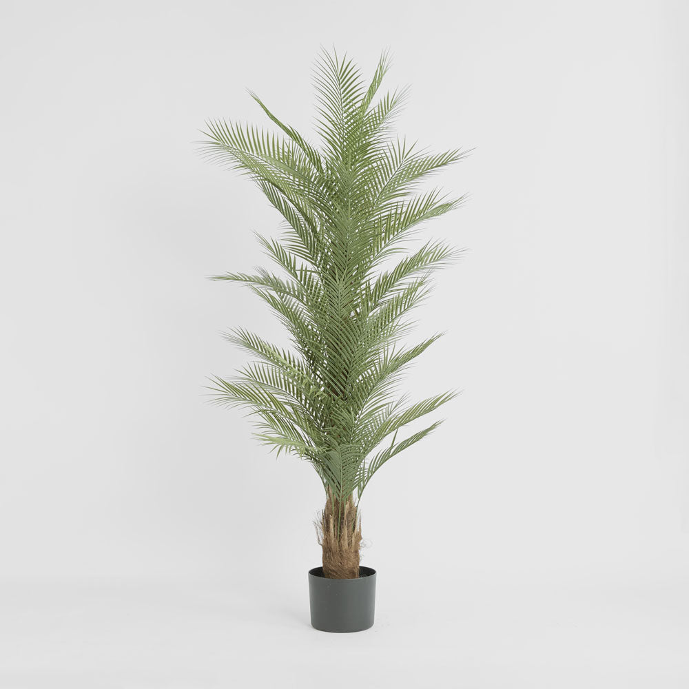 Real Touch Palm Tree