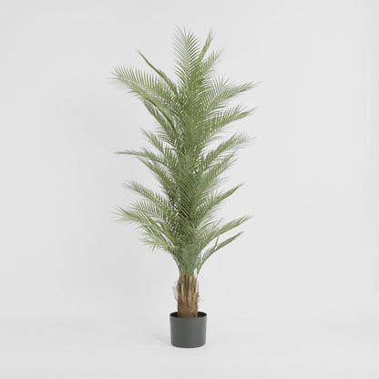 Real Touch Palm Tree