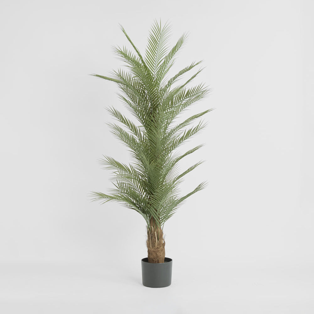 Real Touch Palm Tree