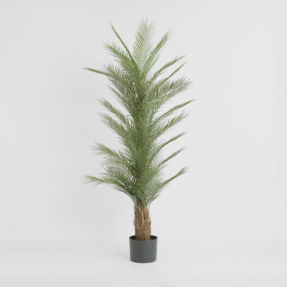 Real Touch Palm Tree