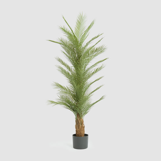 Real Touch Palm Tree 180cm