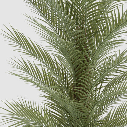Real Touch Palm Tree