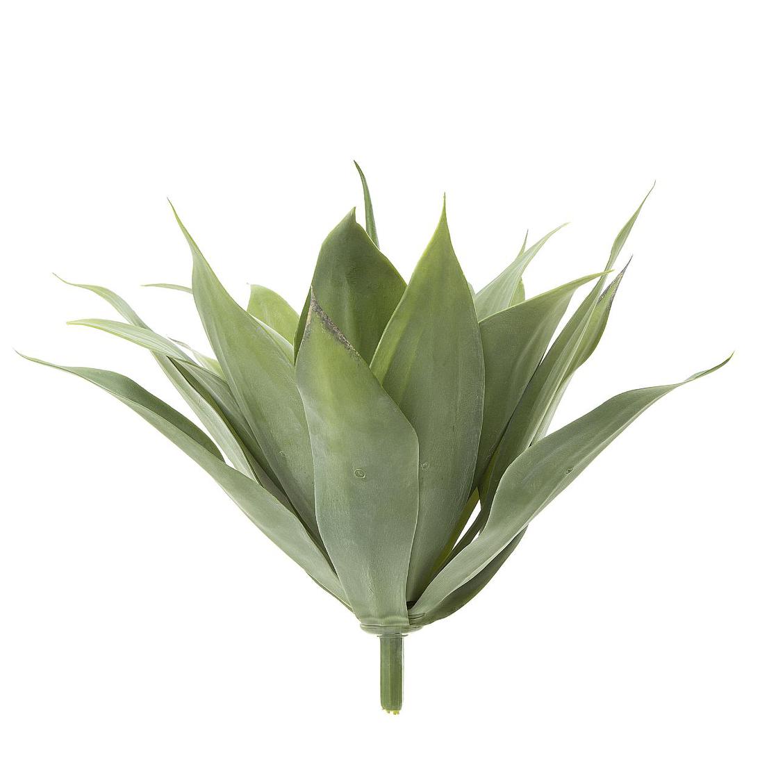 Agave succulent Bush 41cm W/19 Leaves Green