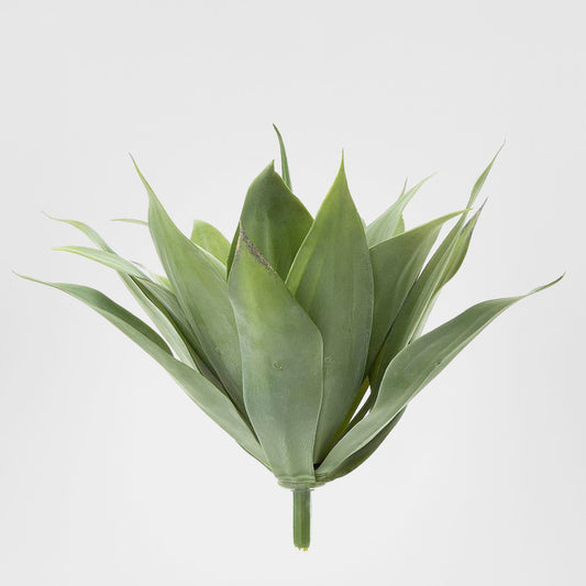Agave succulent Bush 41cm W/19 Leaves Green