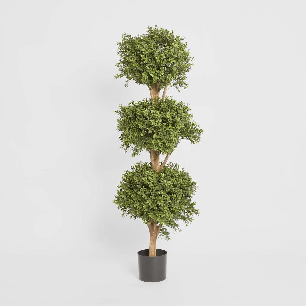 Boxwood Triple Ball Tree 1.2