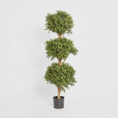 Boxwood Triple Ball Tree 1.2