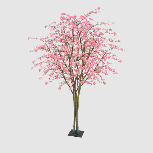 Cherry Blossom Tree 2.74M