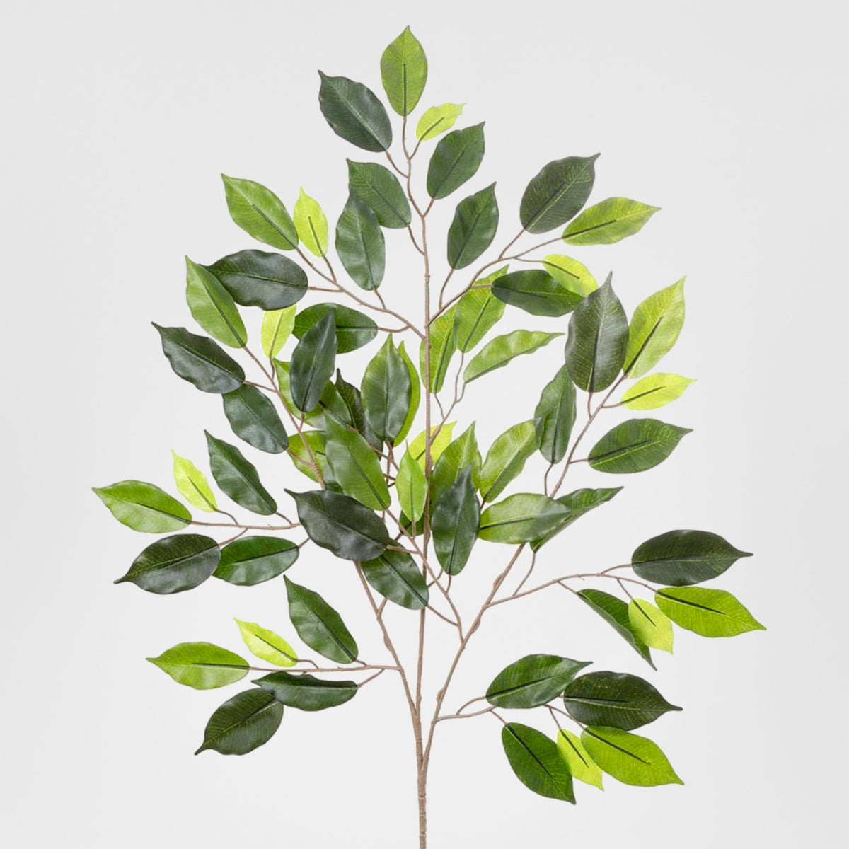 Ficus leaf Spray 75cm