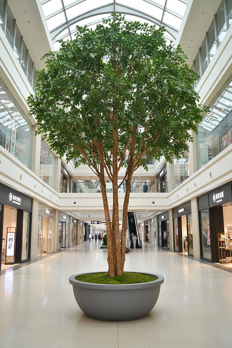 Mix Ficus Giant Tree 550cm