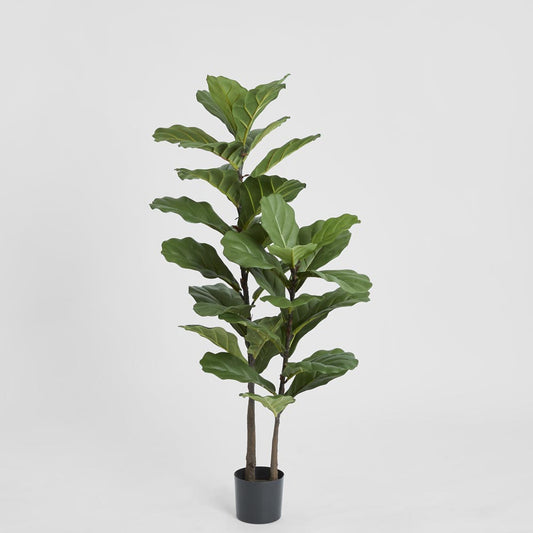 Fiddle Leaf Tree 1.13m