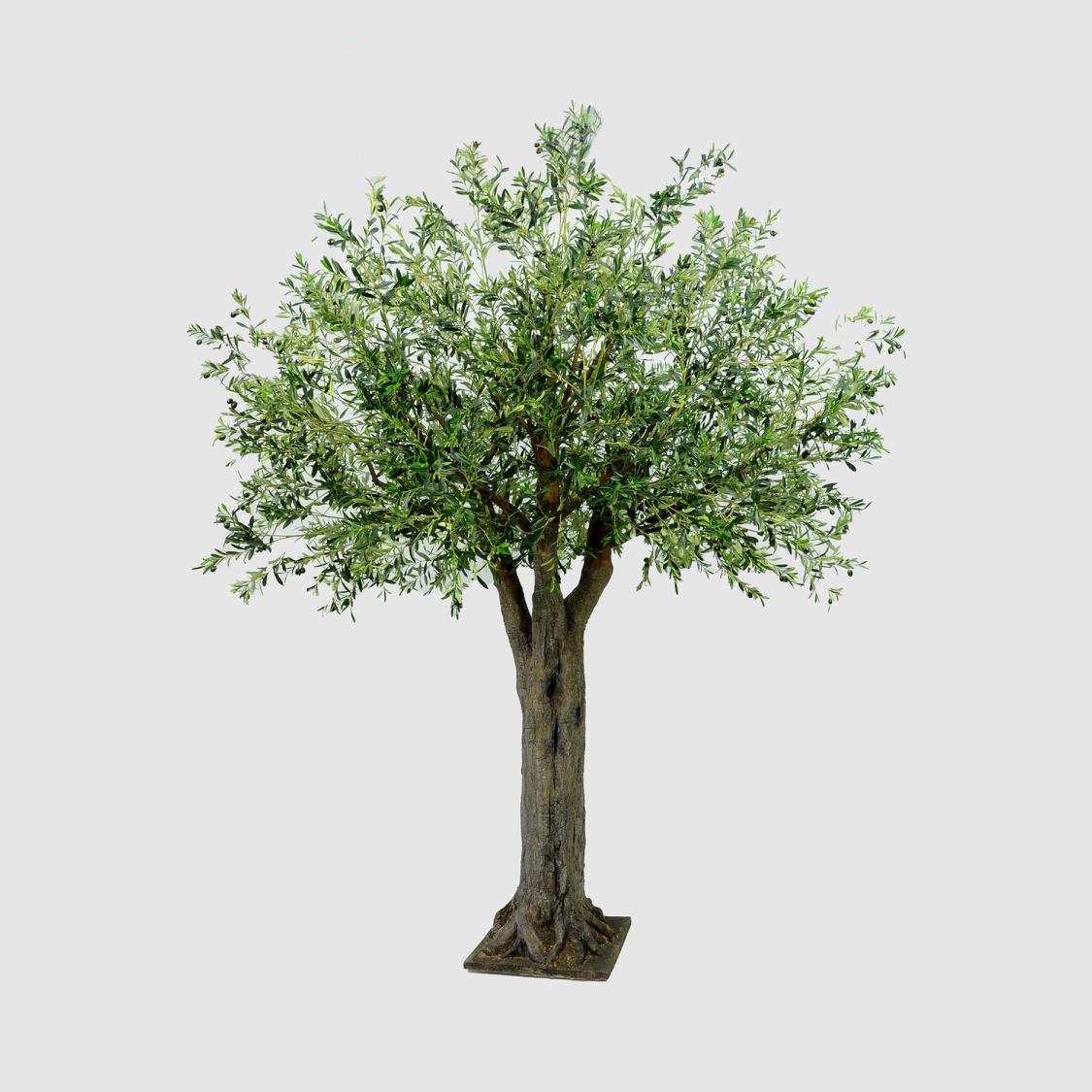 3m Giant Olive Tree w/19278 Lvs 324 Fruits