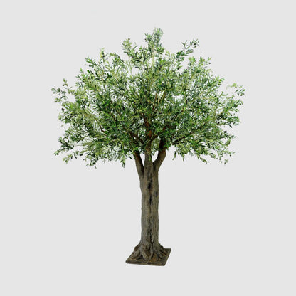 3m Giant Olive Tree w/19278 Lvs 324 Fruits