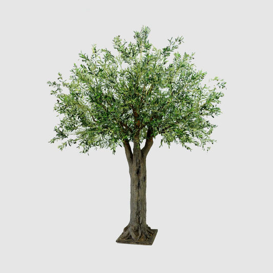 3m Giant Olive Tree w/19278 Lvs 324 Fruits