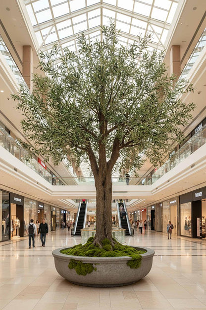 3m Giant Olive Tree w/19278 Lvs 324 Fruits