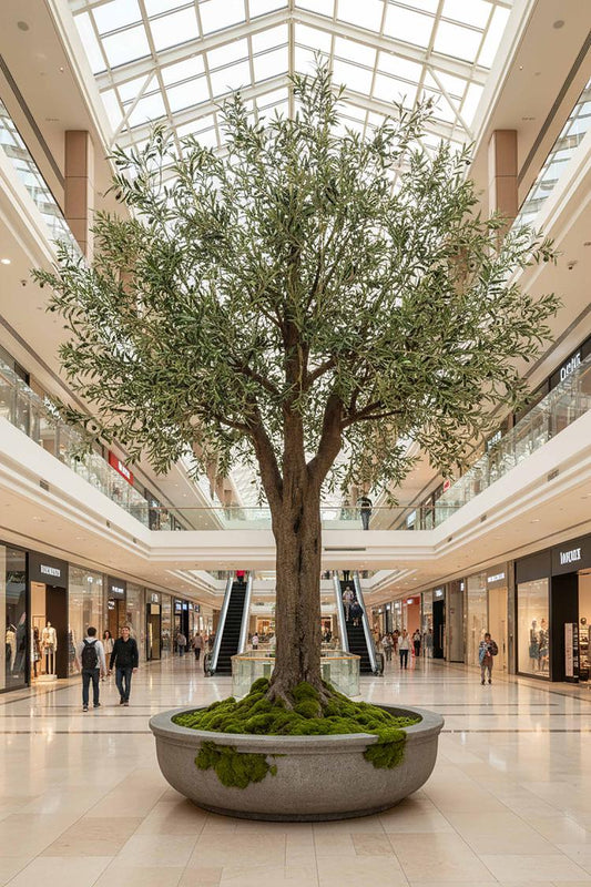 3m Giant Olive Tree w/19278 Lvs 324 Fruits