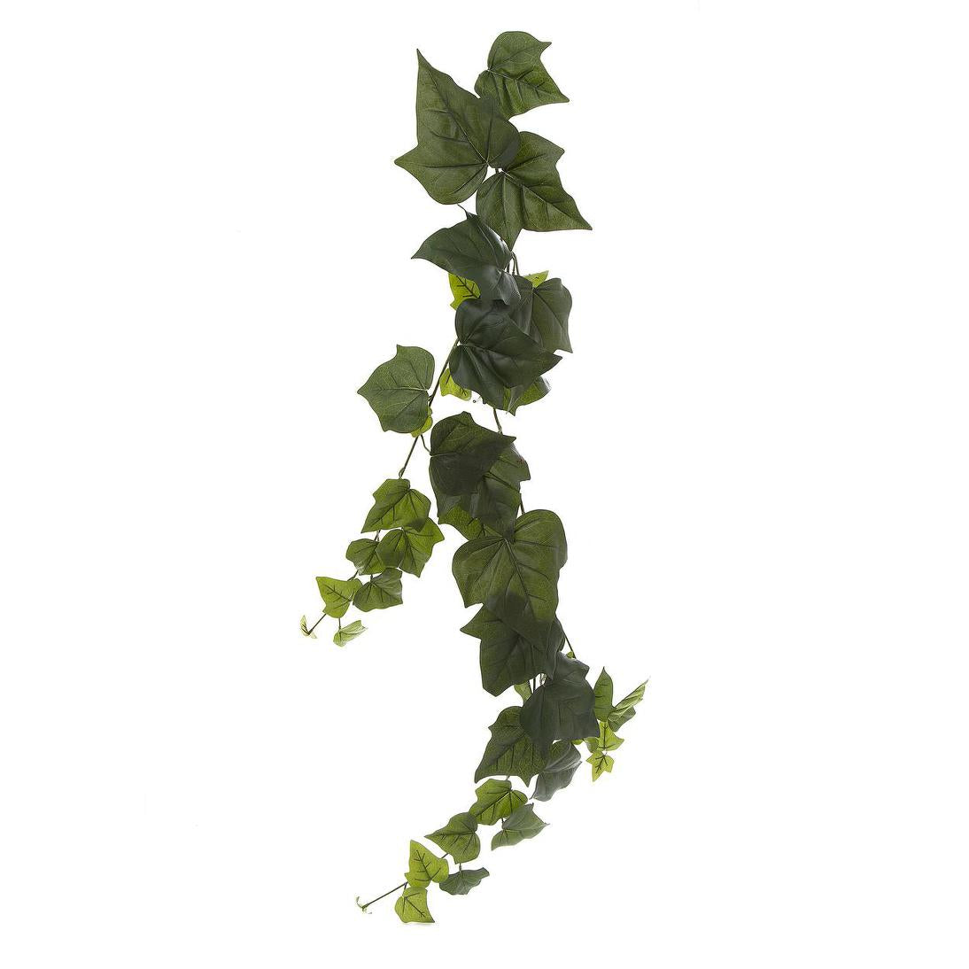 Giant Ivy Vine1.15m