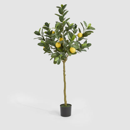 UV Lemon Tree 150cm