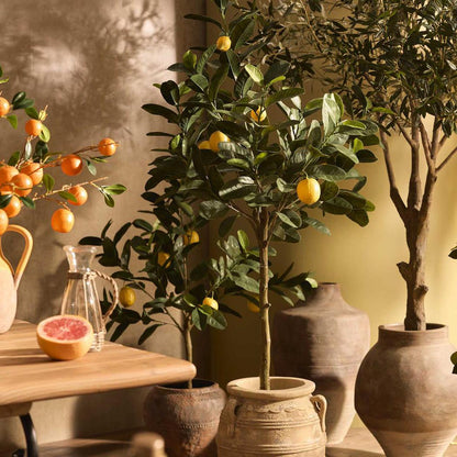 Lemon Tree UV Coated 150cm