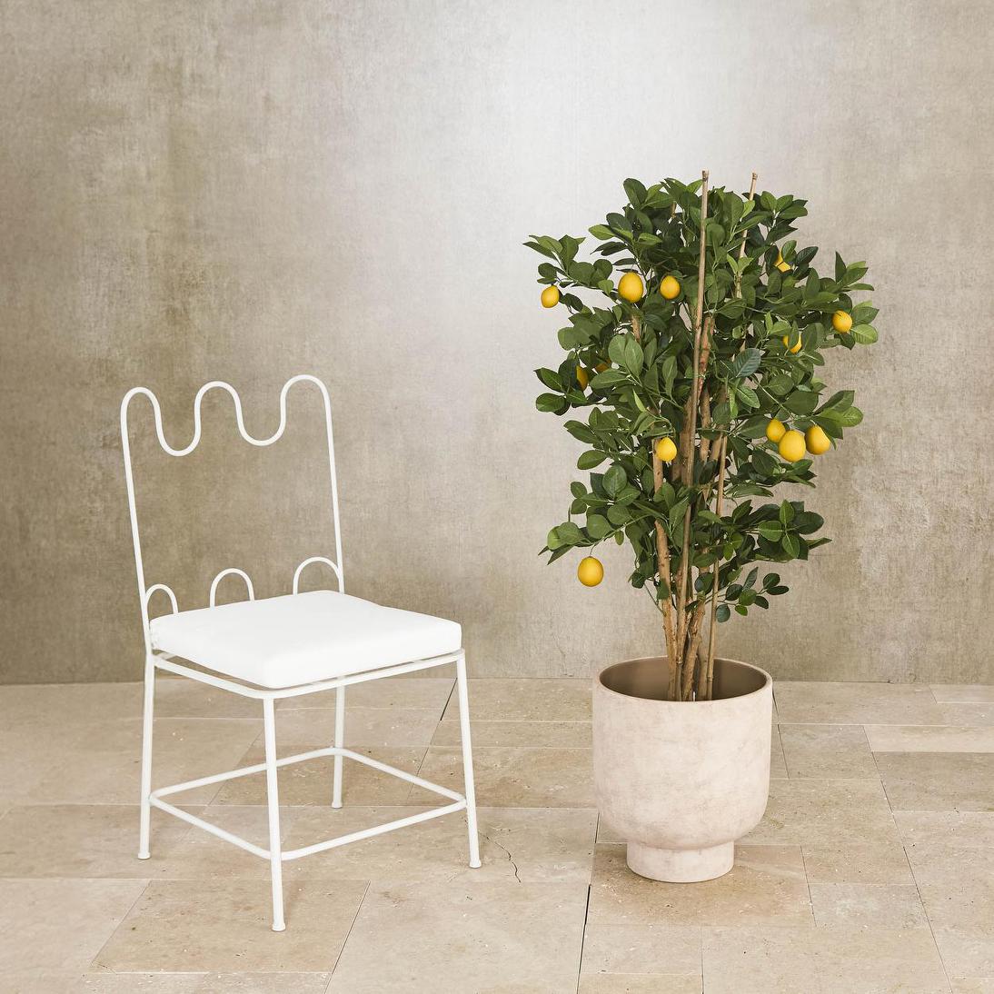 Lemon Tree 1.15m