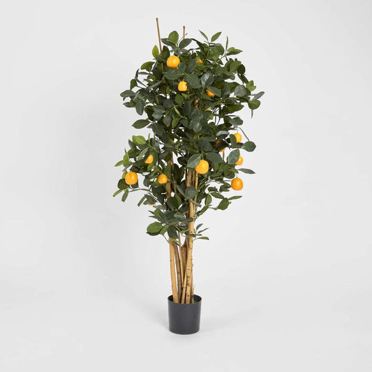 Golden Orange Tree 1.15m