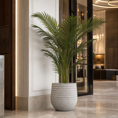 Palm Paradise in Pot 1m